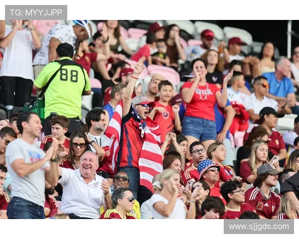 欧洲杯期间汉堡人民公园观赛活动吸引大量球迷