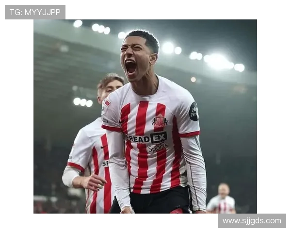 伯恩茅斯英超生存战：近期表现稳健，竞争力增强