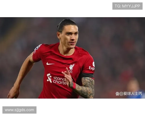 伊萨克与努涅斯:稳定输出型与冲击型前锋模板对比分析 伊萨克与努涅斯:稳定输出型与冲击型前锋模板对比分析